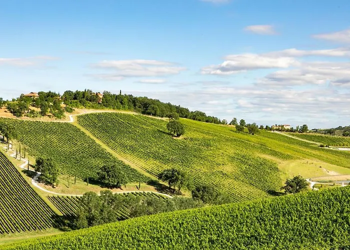Pergola 8, Emma * Bologna